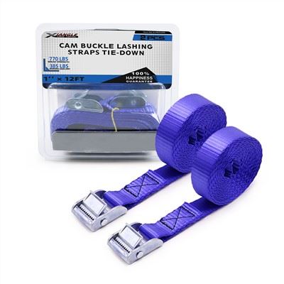 2 pack van 1 inch cam gesp tie down strap sjorren 350kg